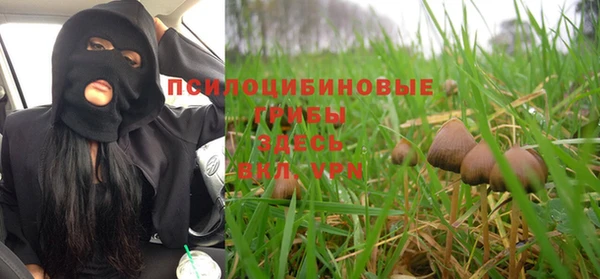 ГАЛЛЮЦИНОГЕННЫЕ ГРИБЫ Горняк