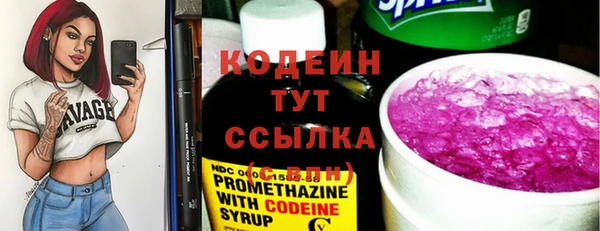 ГАЛЛЮЦИНОГЕННЫЕ ГРИБЫ Горняк