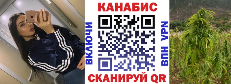 Канабис индика  Щёлково 